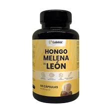 Hongo Melena de León